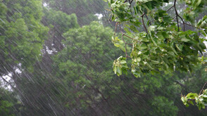 Жълт код за валежи и силен вятър в няколко области на страната