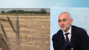 Спор в сектор „Земеделие“: Дългосрочните договори за земя поставят 3,5 млн. собственици в риск