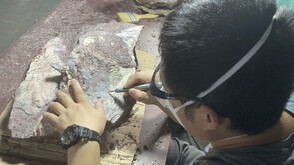 Учени откриха едни от най-старите следи от живот на Земята