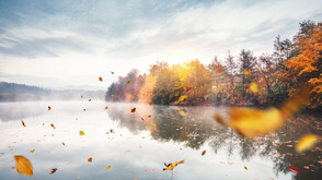 Усещане за зима: Циклони носят есенни дъждове, вятър и сняг в края на ноември