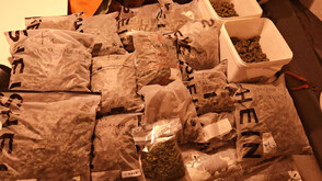 Задържаха марихуана за 240 хил. лв. в Стара Загора, петима са арестувани