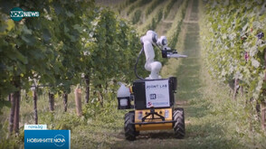 Роботът Фраски: Как високотехнологичен помощник помага на лозята в Италия