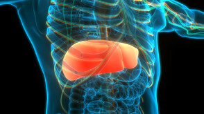 Как да пазим черния дроб здрав: Най-големият вътрешен орган страда „без да боли“