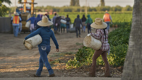 Администрацията на Тръмп не може да разширява ускореното депортиране на мигранти
