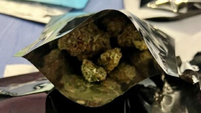 Седем души арестувани за разпространение на над 30 кг марихуана в Стара Загора