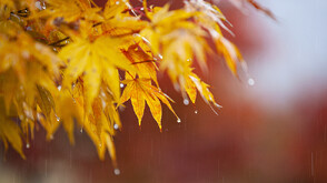 Циклон носи няколко дни дъжд: Има риск от разливи, наводнения и свлачища