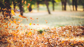 Жълт код за силен вятър в голяма част от страната