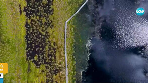 Латвия се подготвя за потенциална руска инвазия като възстановява торфищата си