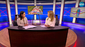 След 400 проверки и 370 нарушения: Лиляна Петрова от ДНСК уверява, че „проверките продължават“