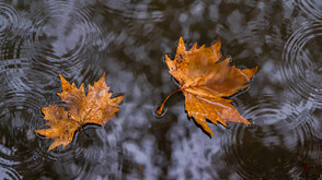 Дъждовен уикенд с валежи в събота