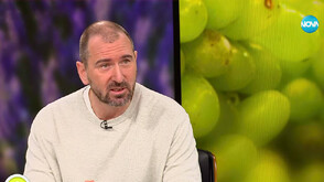 Ще има ли скоро ресторант със звезда „Мишлен” в България