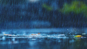 Дъжд за Никулден