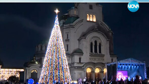 Грейна коледната елха на София