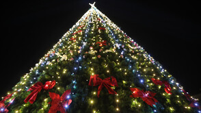 Грейна коледната елха на София