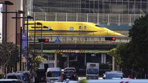 Лебед, излязъл на релсите, причини закъснения на японските високоскоростни влакове "Шинкансен"