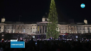 По традиция: Запалиха светлините на коледното дърво на площад "Трафалгар" в Лондон