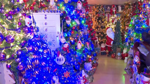 Рекорд: Семейство в Германия украси дома си с 621 коледни елхи (ВИДЕО)