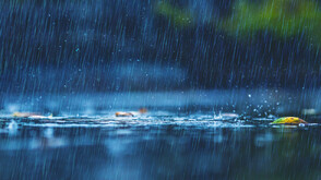 Валежи в неделя в Източна България