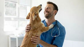 Ветеринарните лекари отбелязват професионалния си празник