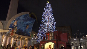 Запалиха коледните светлини на елхата във Ватикана (ВИДЕО)