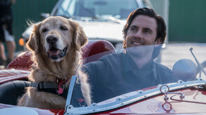 Житейски уроци научени от едно куче в „Невероятният живот на Енцо“ по NOVA