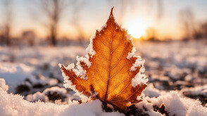 Сняг на Коледа, леден студ на Нова година