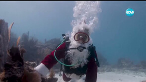 Дядо Коледа се гмурна край бреговете на Флорида (ВИДЕО)