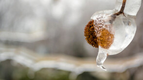 Какво време ни очаква на Бъдни вечер