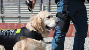 Заловиха кокаин за над 70 млн. евро в Италия