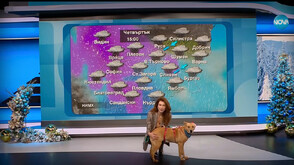 „Време за надежда“: Никол Станкулова търси верен приятел за цял живот за Лара