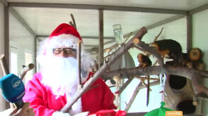 Обитателите на бургаския зоопарк получават коледни подаръци