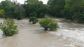 Частично бедствено положение в пазарджишкото село Гелеменово