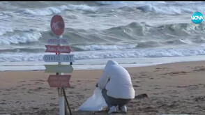 "Чистата Коледа": Доброволци почистват българските плажове