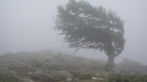 Силен вятър в неделя