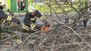 Проблеми в Пловдив заради силния вятър
