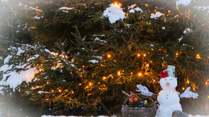 С какво време ще посрещнем 2026 година