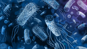 Разследват петима лекари след смъртта на майка и дъщеря от хранително отравяне в Италия