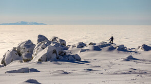 Издирват млад мъж в района на Витоша