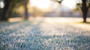 Мразовито посрещане на 2026 година, студът отстъпва в следващите дни