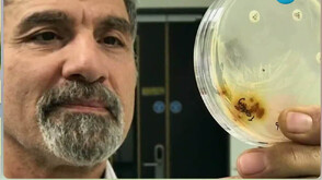 Може ли пръст от гроба на ирландски свещеник да спаси животи