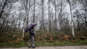 Затвориха пътищата към Витоша заради силния вятър