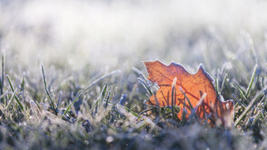 Годината започва с вятър и усещане за пролет