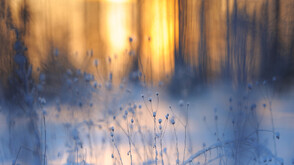 Сняг на Бабинден: След серията топли дни зимата се завръща