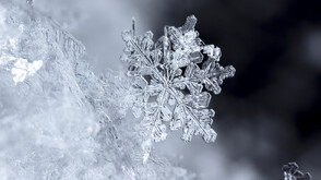 Снежната Коледа става все по-рядко явление в България