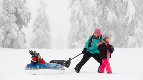 Леден оборот: Снежната икономика на Китай ще генерира 183 млрд. евро до 2030 г.