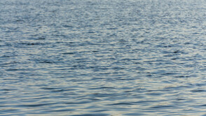 Спасиха от удавяне баща и син в Долно Черковище