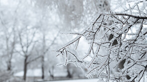 Очаква се още сняг през почивните дни