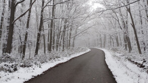 Какво представлява черният лед на пътя?