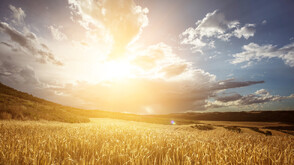 Лятото на 2025 г. - най-сухото досега в България