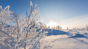 Зимен уикенд: Валежи от дъжд и сняг
